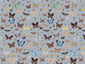 Bugs and butterflies repeat for web_1
