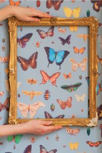 Bugs And Butterflies Wallpaper adjust
