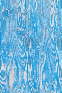 Portrait wood grain blue